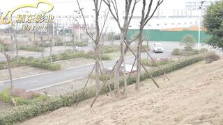 JD091我唾弃你的坟墓-林凤娇